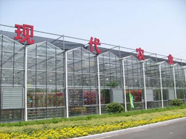 智能玻璃溫室 (3)